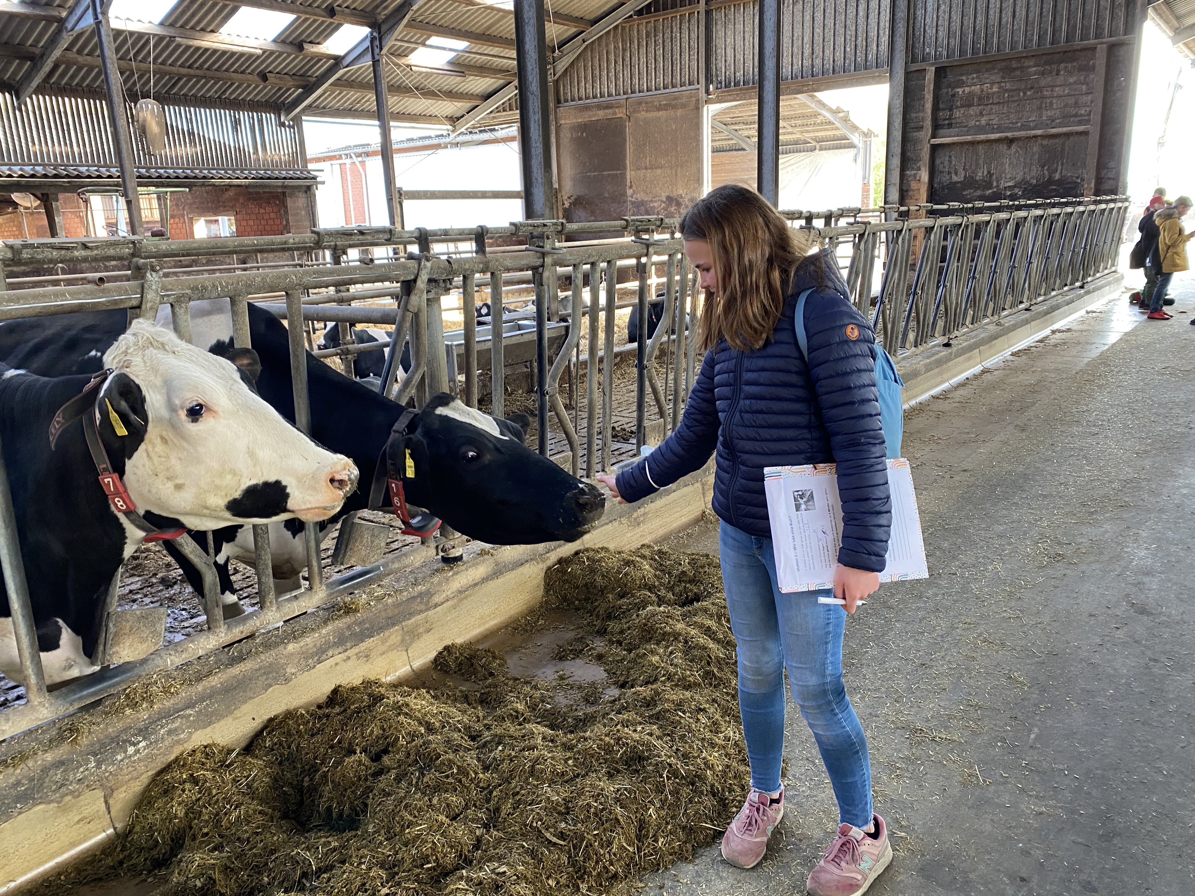 Bauernhof Henriette Kuh streicheln